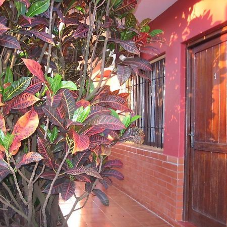 Alecrin Apart Puerto Iguazú Exterior foto